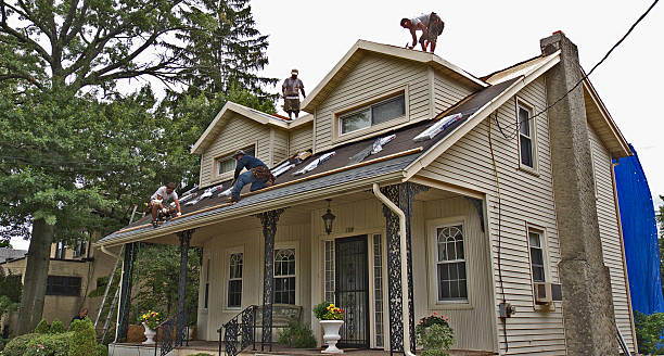 Professional Roofing Contractor in Mena, AR